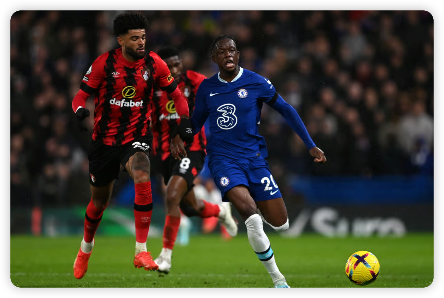 Expert Verdict: High Reward for Low Risk