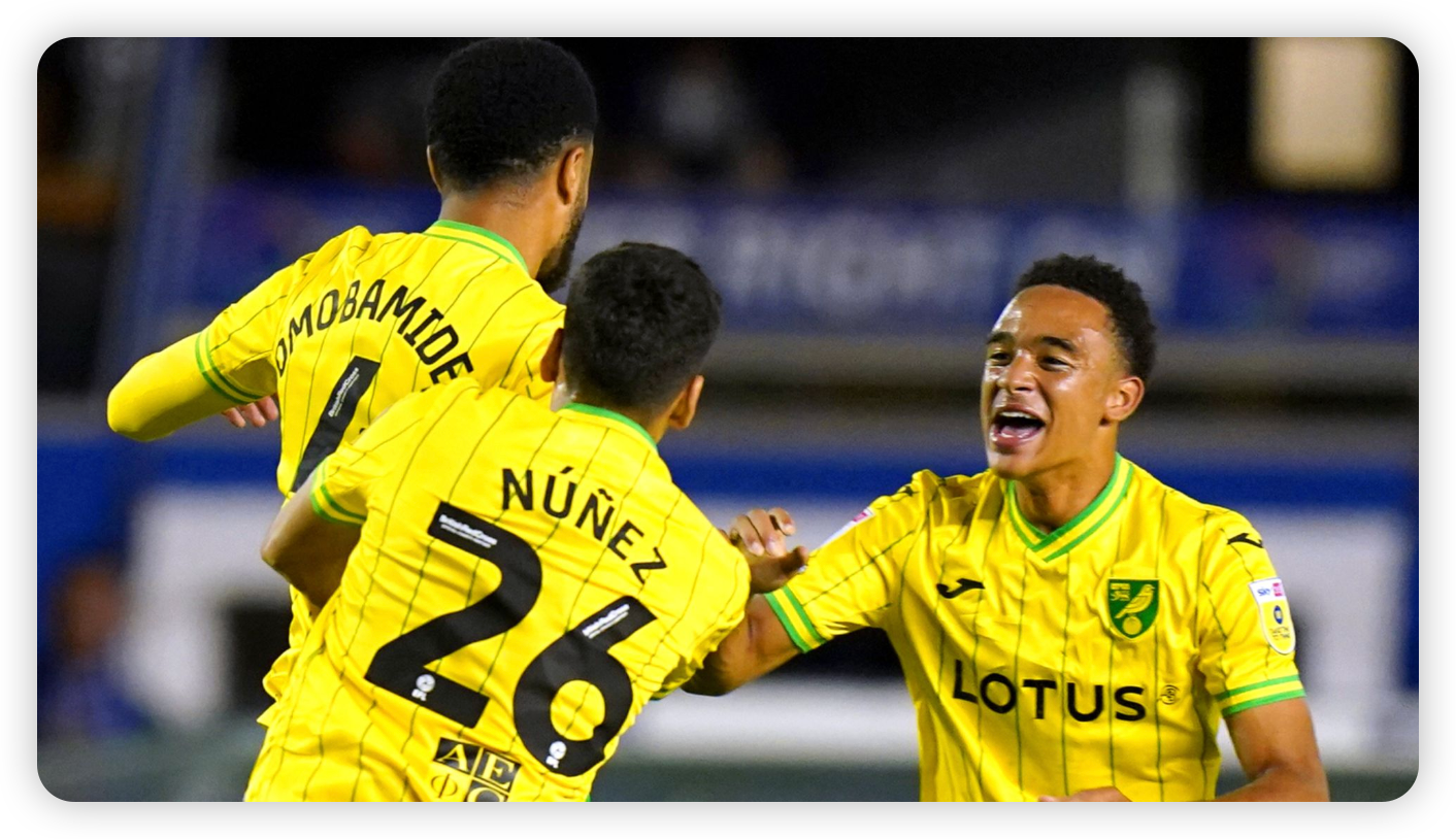 The Unfortunate Incident