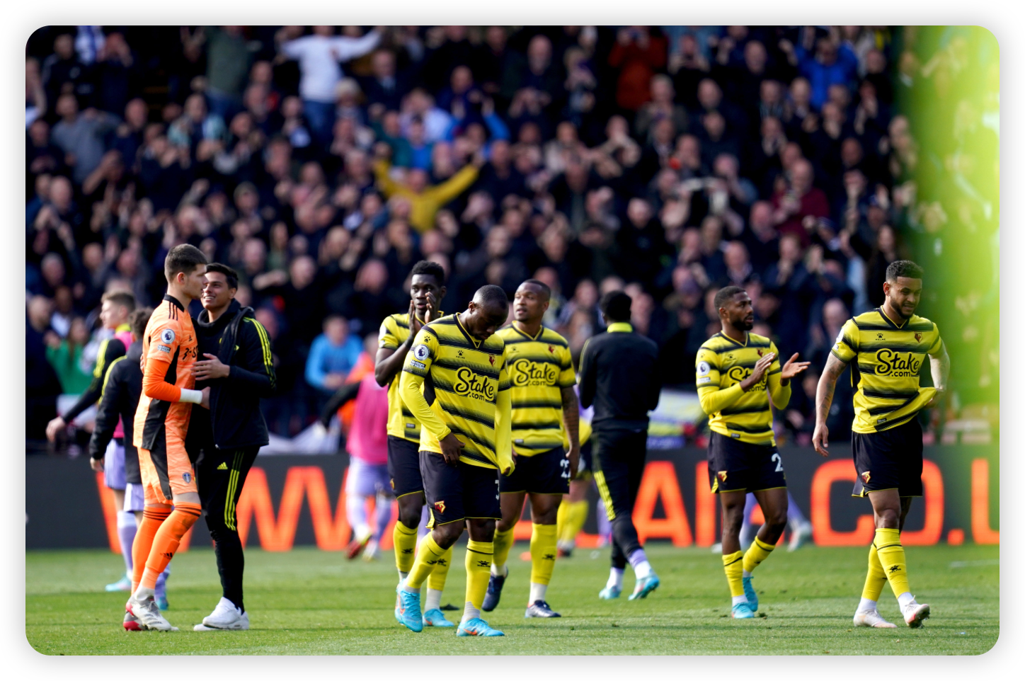 Defensive Collapse Seals Watford’s Fate
