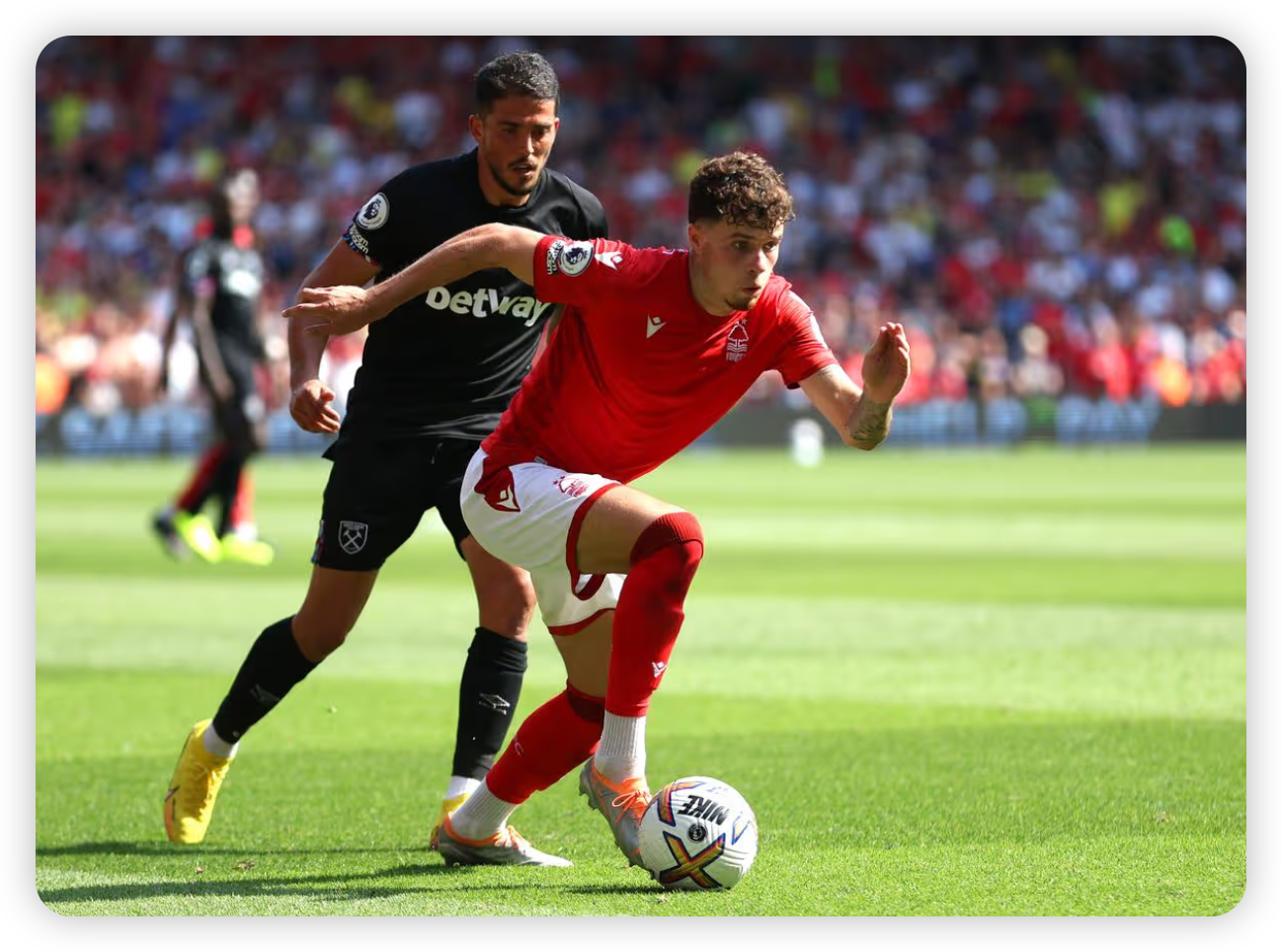 A Homecoming with Purpose