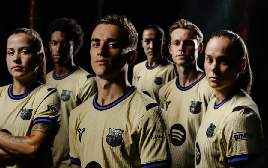 The Aesthetic Vision